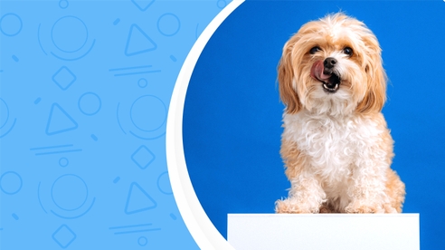 🎥 Еженедельный подкаст "Что нового в законодательстве?" 🎥 Еженедельный подкаст "Что нового в законодательстве?"