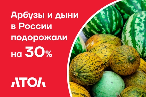 Арбузы и дыни в России подорожали на 30%