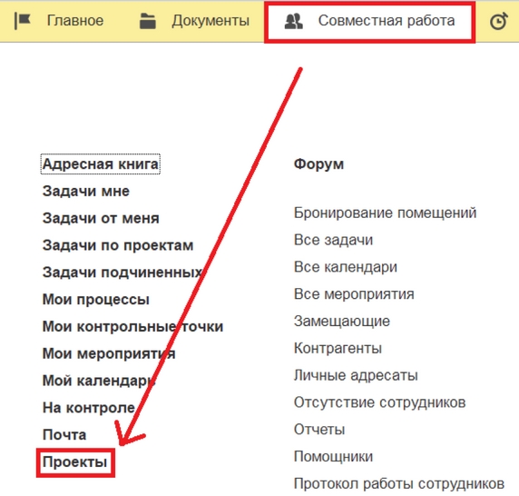 Рис. 5. Раздел «Совместная работа» – справочник «Проекты»