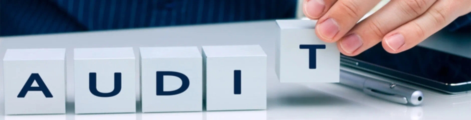 audit_expert audit_expert