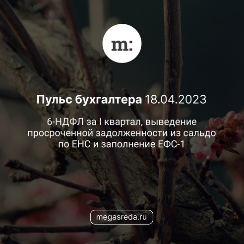 📨 Пульс бухгалтера 18.04.2023: 6-НДФЛ за I квартал, выведение просроченной задолженности из сальдо по ЕНС и заполнение ЕФС-1 📨 Пульс бухгалтера 18.04.2023: 6-НДФЛ за I квартал, выведение просроченной задолженности из сальдо по ЕНС и заполнение ЕФС-1