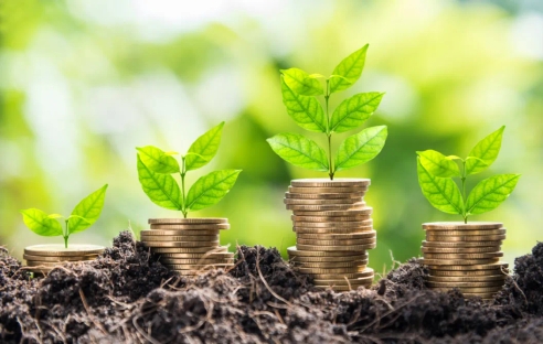 ФНС сообщила о запуске системы по ускоренному заключению соглашений и защите инвестиций ФНС сообщила о запуске системы по ускоренному заключению соглашений и защите инвестиций