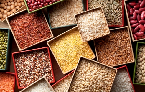 Отечественные семена могут освободить от НДС при реализации Отечественные семена могут освободить от НДС при реализации