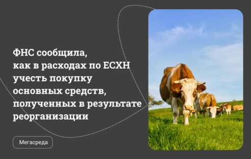 ФНС сообщила, как в расходах по ЕСХН учесть покупку основных средств, полученных в результате реорганизации ФНС сообщила, как в расходах по ЕСХН учесть покупку основных средств, полученных в результате реорганизации