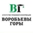АПИ "Воробьевы горы" РИЦ Консультант Плюс АПИ "Воробьевы горы" РИЦ Консультант Плюс