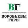 Логотип компании - АПИ "Воробьевы горы" РИЦ Консультант Плюс Банк России расширяет публикацию статистики кредитования  | АПИ "Воробьевы горы" РИЦ Консультант Плюс (@aoapivg) | Мегасреда | 13.04.23, 10:20:48