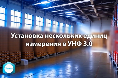 Установка нескольких единиц измерения в УНФ 3.0 Установка нескольких единиц измерения в УНФ 3.0