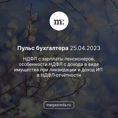 📨 Пульс бухгалтера 25.04.2023: НДФЛ с зарплаты пенсионеров, особенности НДФЛ с дохода в виде имущества при ликвидации и доход ИП в НДФЛ-отчётности 📨 Пульс бухгалтера 25.04.2023: НДФЛ с зарплаты пенсионеров, особенности НДФЛ с дохода в виде имущества при ликвидации и доход ИП в НДФЛ-отчётности