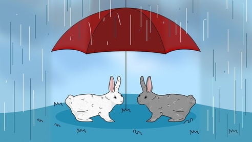 Как малому бизнесу получить господдержку: субсидии, гранты и льготные кредиты Как малому бизнесу получить господдержку: субсидии, гранты и льготные кредиты