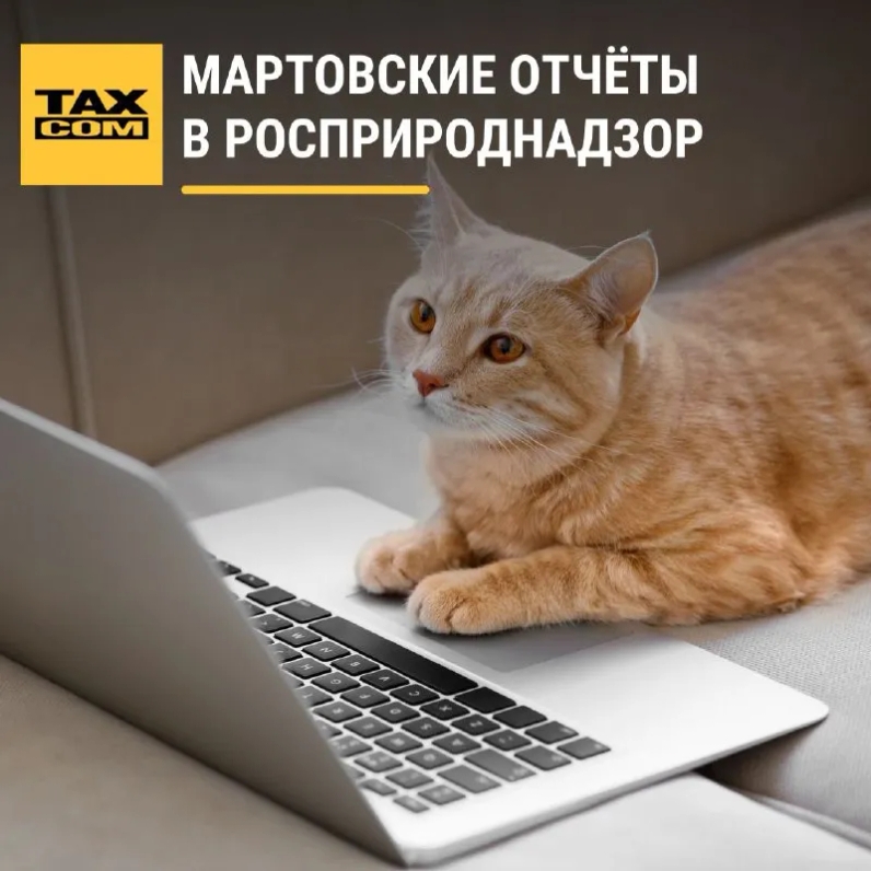 ✅ В марте организации сдают два отчёта в службу по надзору в сфере природопользования. | Такском (@taxcom_company) | Мегасреда | 24.02.22, 12:25:26 ✅ В марте организации сдают два отчёта в службу по надзору в сфере природопользования. | Такском (@taxcom_company) | Мегасреда | 24.02.22, 12:25:26