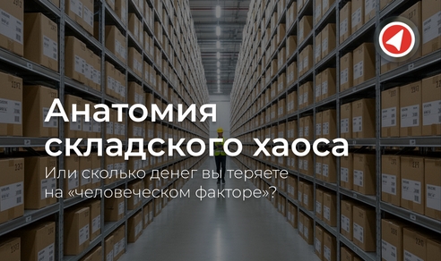 Анатомия складского хаоса, или сколько денег вы теряете на «человеческом факторе»? Анатомия складского хаоса, или сколько денег вы теряете на «человеческом факторе»?