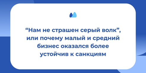 “Нам не страшен серый волк”, или почему малый и средний бизнес оказался более устойчив к санкциям “Нам не страшен серый волк”, или почему малый и средний бизнес оказался более устойчив к санкциям