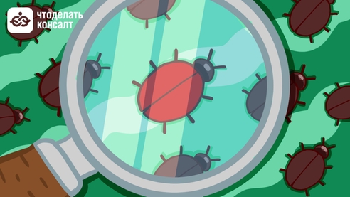 План проверок на 2024 год: как найти свою организацию по ИНН План проверок на 2024 год: как найти свою организацию по ИНН