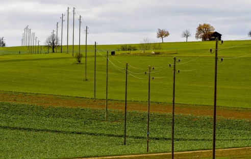 Минфин ответил, нужно ли удерживать НДФЛ с выплаты физлицам за публичный сервитут Минфин ответил, нужно ли удерживать НДФЛ с выплаты физлицам за публичный сервитут
