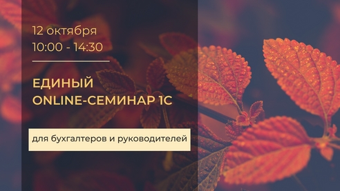 Единый онлайн семинар 1С. Об учете, налогах и автоматизации – из первых рук Единый онлайн семинар 1С. Об учете, налогах и автоматизации – из первых рук