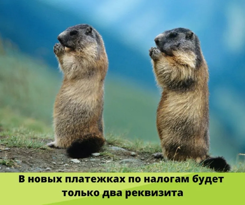 ⚡В новых платежках по налогам будет только два реквизита | Журнал «Упрощенка» (@uproshchenka) | Мегасреда | 15.02.22, 12:01:54 ⚡В новых платежках по налогам будет только два реквизита | Журнал «Упрощенка» (@uproshchenka) | Мегасреда | 15.02.22, 12:01:54