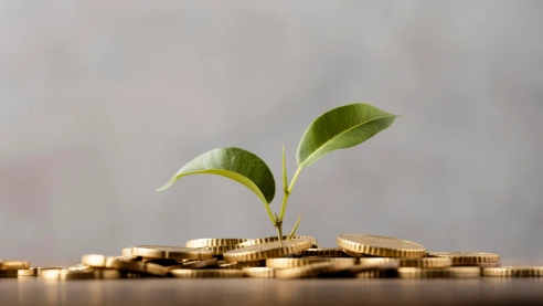 Гарантии пенсионных прав граждан СНГ: отказ РФ от прежнего порядка и новые планы Гарантии пенсионных прав граждан СНГ: отказ РФ от прежнего порядка и новые планы