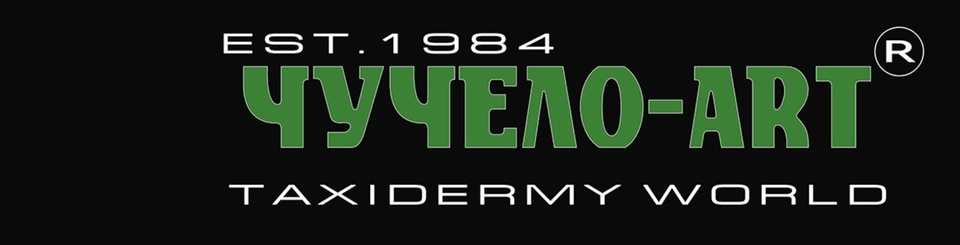 chucheloart chucheloart