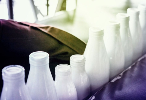 Перспективы развития российского рынка молочных заквасок в 2022 году Перспективы развития российского рынка молочных заквасок в 2022 году