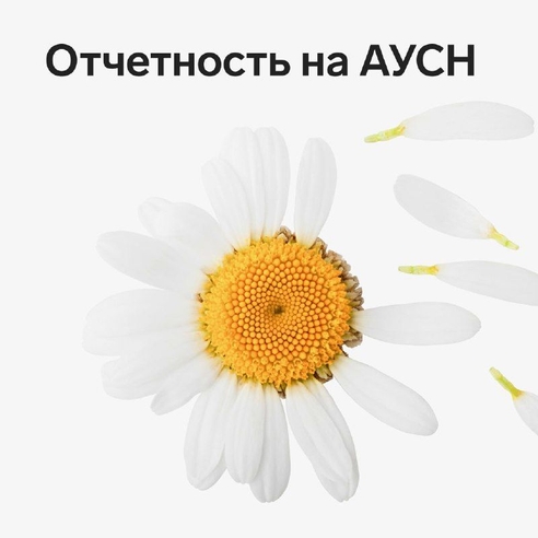 С 1 июля в России начал действовать новый налоговый спецрежим 一 автоматическая упрощенная система налогообложения (АУСН). Одним из плюсов системы считается то, что АУСН-щикам нужно сдавать меньше отчетности в контролирующие органы. С 1 июля в России начал действовать новый налоговый спецрежим 一 автоматическая упрощенная система налогообложения (АУСН). Одним из плюсов системы считается то, что АУСН-щикам нужно сдавать меньше отчетности в контролирующие органы.