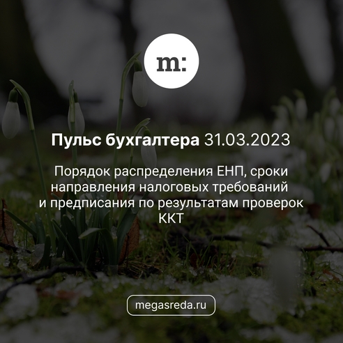 📨 Пульс бухгалтера 31.03.2023: порядок распределения ЕНП, сроки направления налоговых требований и предписания по результатам проверок ККТ 📨 Пульс бухгалтера 31.03.2023: порядок распределения ЕНП, сроки направления налоговых требований и предписания по результатам проверок ККТ