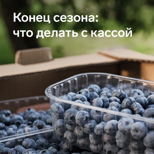 Конец лета для некоторых продавцов означает и конец сезона торговли. Если касса больше не нужна, следует правильно ее отключить. Рассказываем, как это сделать и какую деятельность можно назвать сезонной 🌴 Конец лета для некоторых продавцов означает и конец сезона торговли. Если касса больше не нужна, следует правильно ее отключить. Рассказываем, как это сделать и какую деятельность можно назвать сезонной 🌴