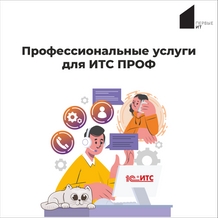 Профессиональные услуги к договору ИТС уровня ПРОФ Профессиональные услуги к договору ИТС уровня ПРОФ