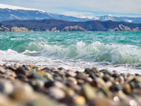 Правительство установило новый срок уплаты налога на прибыль в апреле Правительство установило новый срок уплаты налога на прибыль в апреле
