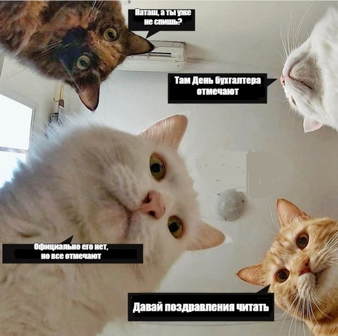 Как бухгалтеров поздравляют с профессиональным праздником Как бухгалтеров поздравляют с профессиональным праздником