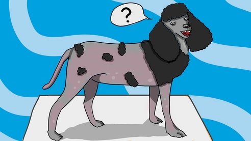 Как составить и подать иск о защите прав потребителей Как составить и подать иск о защите прав потребителей