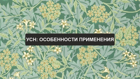 Бесплатный вебинар: "УСН: особенности применения" Бесплатный вебинар: "УСН: особенности применения"