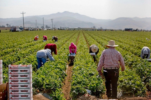 Сезонная работа тоже дает право на оплачиваемый отпуск Сезонная работа тоже дает право на оплачиваемый отпуск