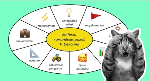 Модель Белбина: как распределить командные роли и задачи бэклога Модель Белбина: как распределить командные роли и задачи бэклога