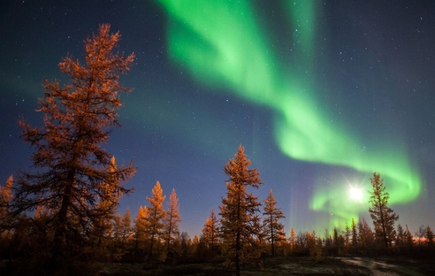 Роструд разъяснил оплату отпусков для дистанционных работников Крайнего Севера Роструд разъяснил оплату отпусков для дистанционных работников Крайнего Севера