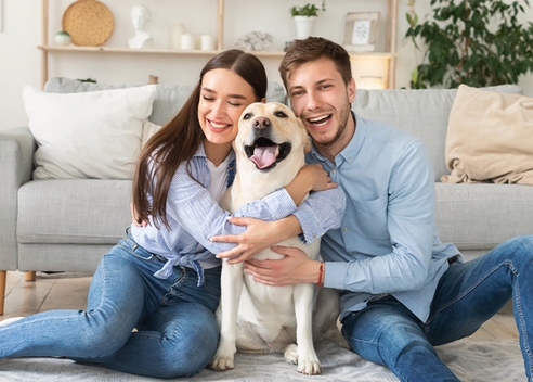 85 % россиян увеличили траты на домашних питомцев 85 % россиян увеличили траты на домашних питомцев