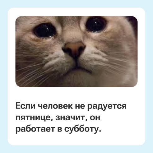 Ну как не радоваться — никто не отвлекает... 🥹 Ну как не радоваться — никто не отвлекает... 🥹