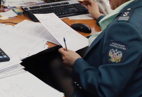 Налоговики рассказали, в каком случае возьмутся за самозанятых Налоговики рассказали, в каком случае возьмутся за самозанятых