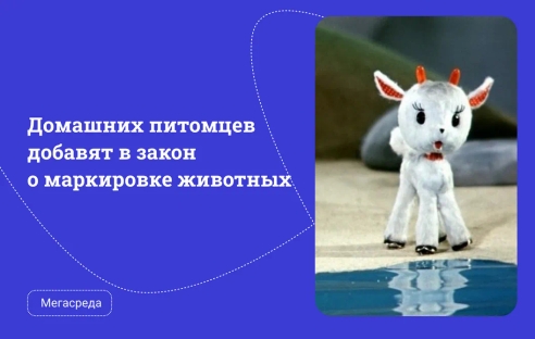 Домашних питомцев добавят в закон о маркировке животных Домашних питомцев добавят в закон о маркировке животных