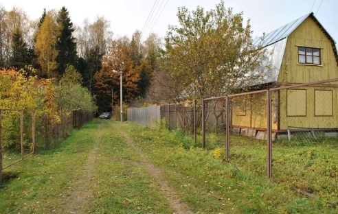 Кассация поддержала руководителя, лишенного пособия за нарушение карантина Кассация поддержала руководителя, лишенного пособия за нарушение карантина