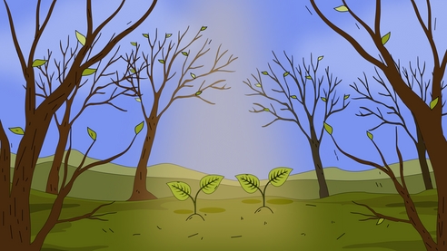 Какие ФСБУ обязательно применять в 2025 году Какие ФСБУ обязательно применять в 2025 году