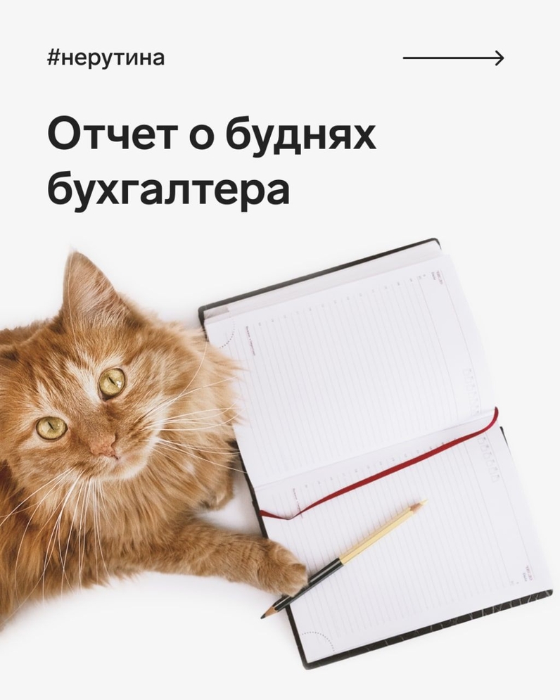 Отчёт о буднях бухгалтера | Контур (@skbkontur) | Мегасреда | 21.11.22, 11:00:50 Отчёт о буднях бухгалтера | Контур (@skbkontur) | Мегасреда | 21.11.22, 11:00:50