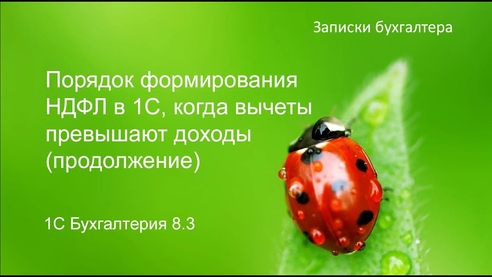 Порядок формирование НДФЛ в 1С когда вычеты превышают общую сумму доходов. (Продолжение) Порядок формирование НДФЛ в 1С когда вычеты превышают общую сумму доходов. (Продолжение)