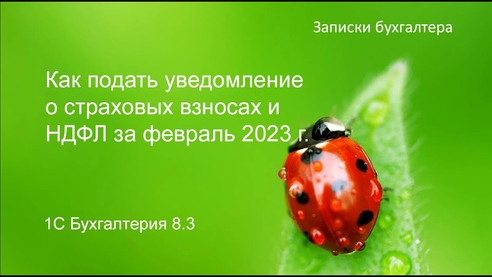 Как подать уведомление по страховым взносам и НДФЛ за февраль 2023 г в 1С БП 8.3 Как подать уведомление по страховым взносам и НДФЛ за февраль 2023 г в 1С БП 8.3